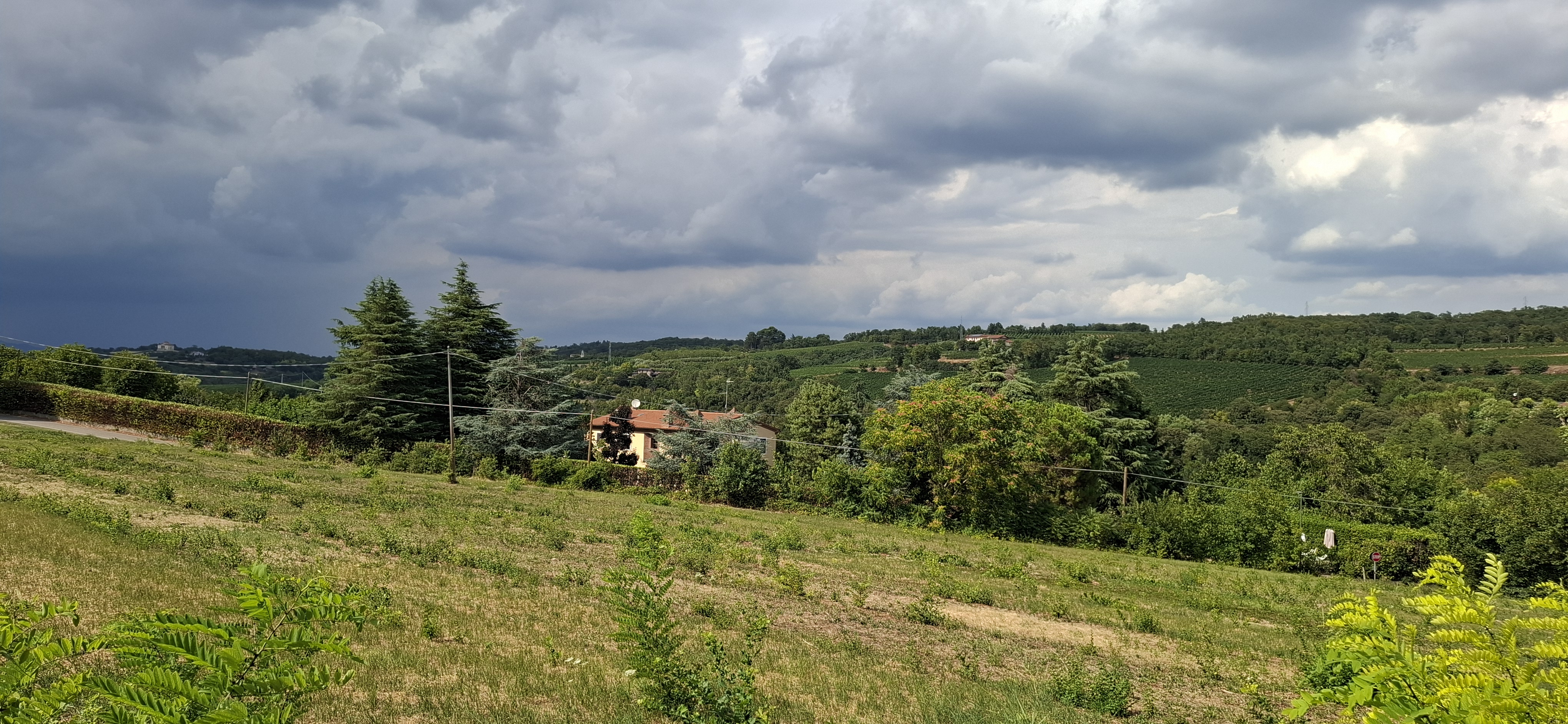 Un’ora di fuga nei Colli Berici: perché l’Anello di Alonte è la mia “ricetta” per staccare la spina