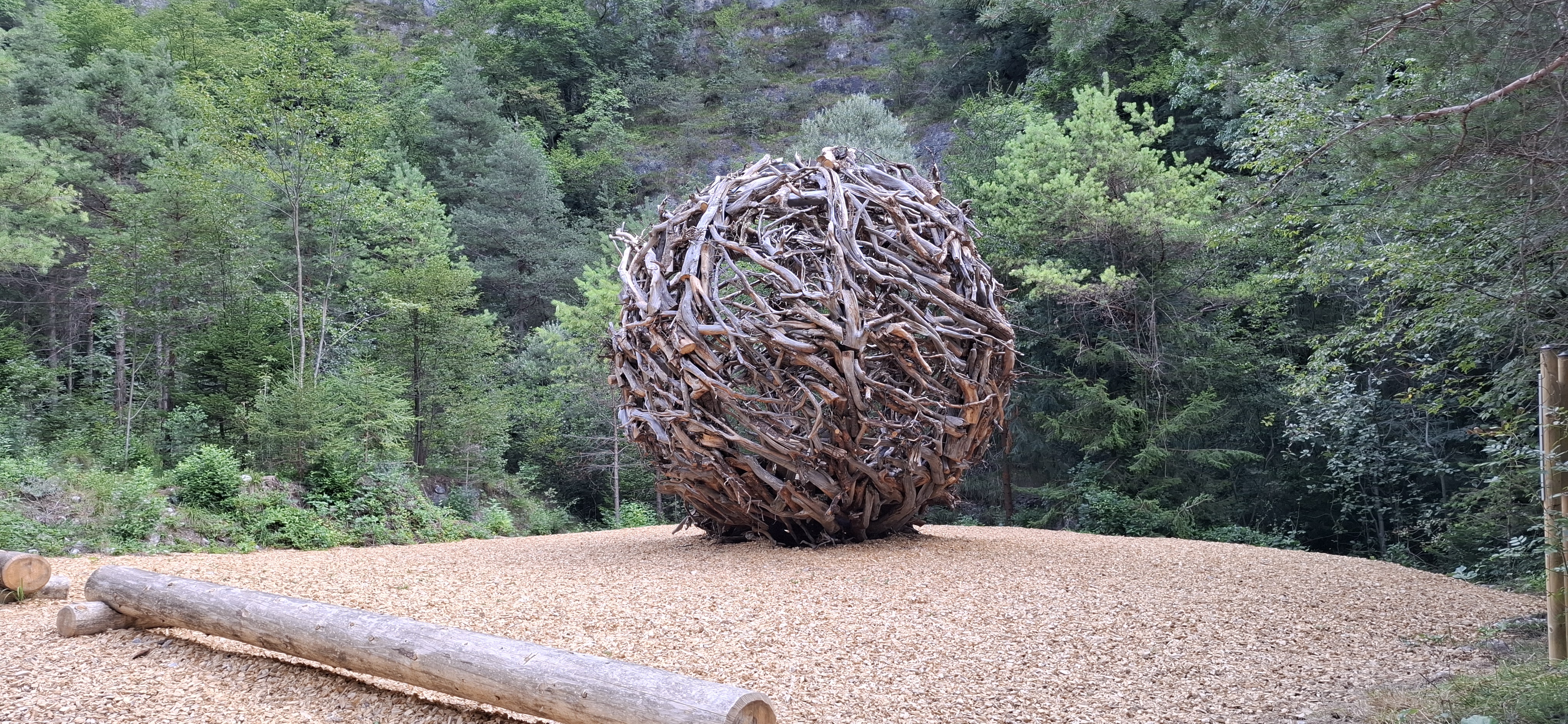 Caccia ai Draghi e Magia di Bosco: una mattina all’Anello del Gorgo Santo in Alta Valdastico